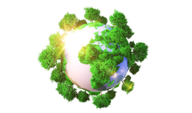 Lei de Parcelamento Urbano não pode ser invocada para reduzir área a ser recuperada