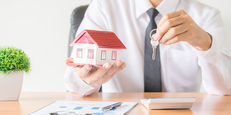 Imagem Destacada_dez_01